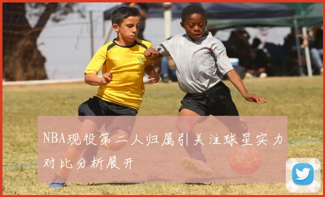 NBA现役第二人归属引关注球星实力对比分析展开