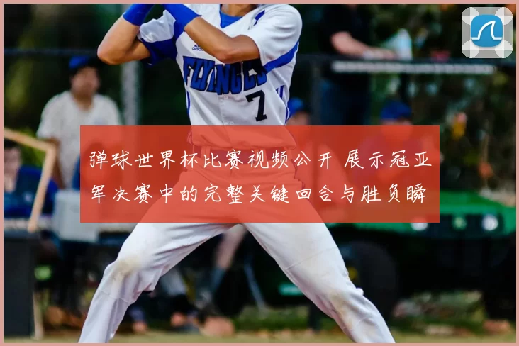 弹球世界杯比赛视频公开 展示冠亚军决赛中的完整关键回合与胜负瞬间