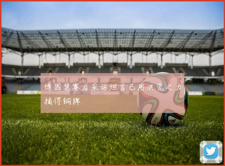 傅园慧赛后采访坦言已用洪荒之力摘得铜牌