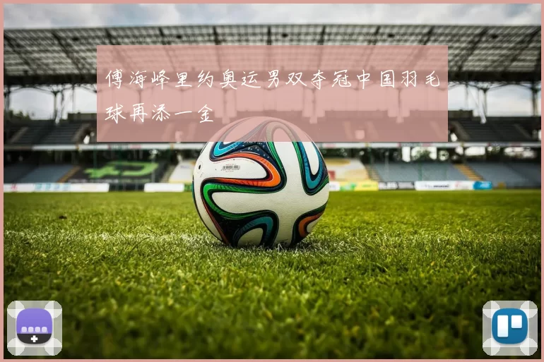 傅海峰里约奥运男双夺冠中国羽毛球再添一金