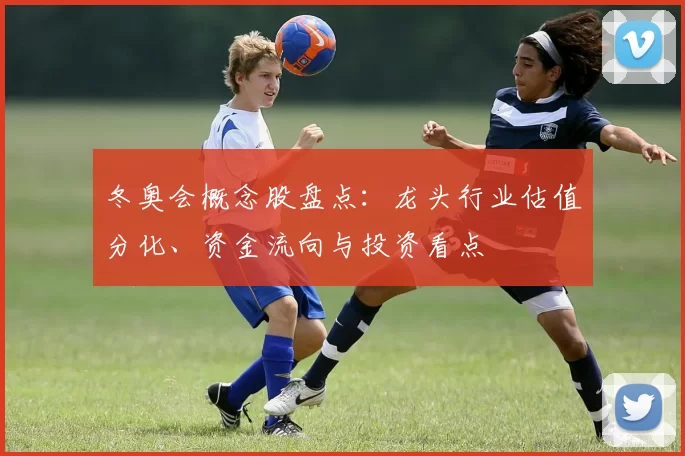 冬奥会概念股盘点：龙头行业估值分化、资金流向与投资看点