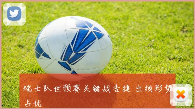 瑞士队世预赛关键战告捷 出线形势占优